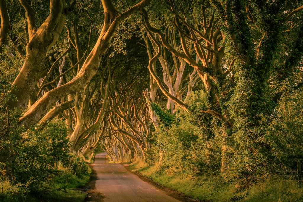 Game Of Thrones Locations Northern Ireland