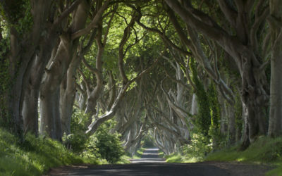 7 Game of Thrones Filming Locations To Visit In Ireland